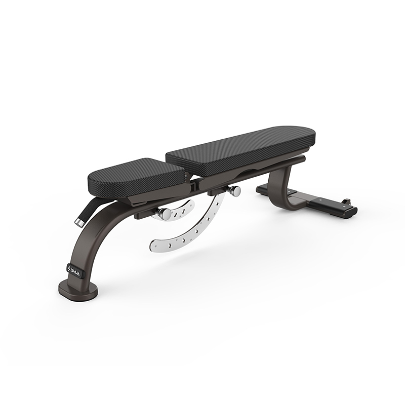 SHUA/舒華調節啞鈴凳SH-G8855